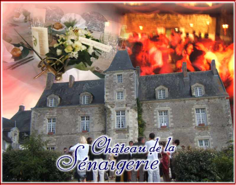 chteau de la senaigerie bouaye